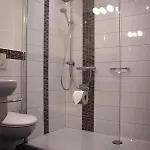 Hotel-restaurant Zur Traube Hotel *