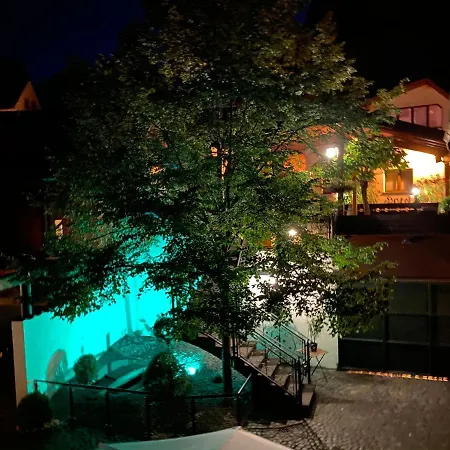 Hotel-restaurant Zur Traube מלון *