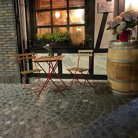 Hotel-restaurant Zur Traube אלטנהר