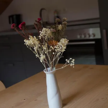 Hotel-restaurant Zur Traube