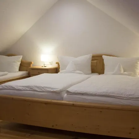 Hotel Hotel-restaurant Zur Traube Altenahr