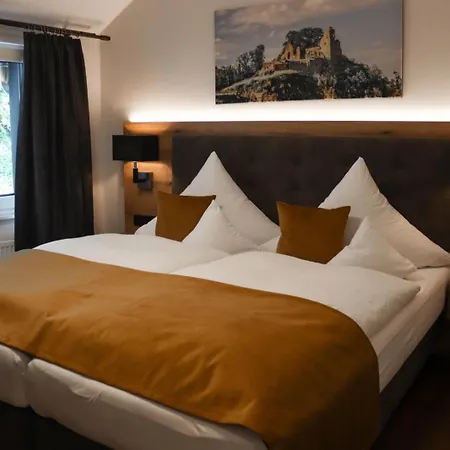 Hotel Hotel-restaurant Zur Traube