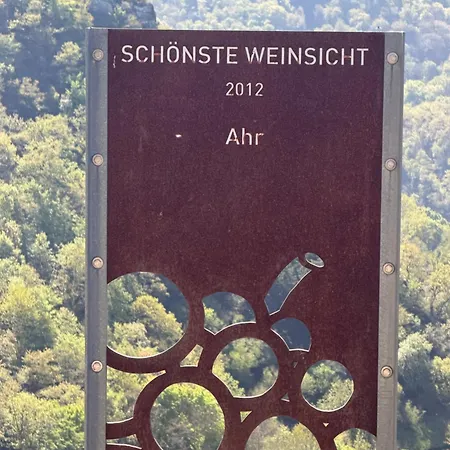Hotel-restaurant Zur Traube *