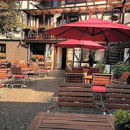 Hotel-restaurant Zur Traube アルテンアール