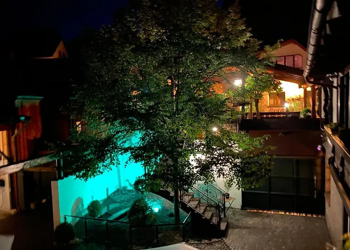 Hotel-restaurant Zur Traube Hotel *