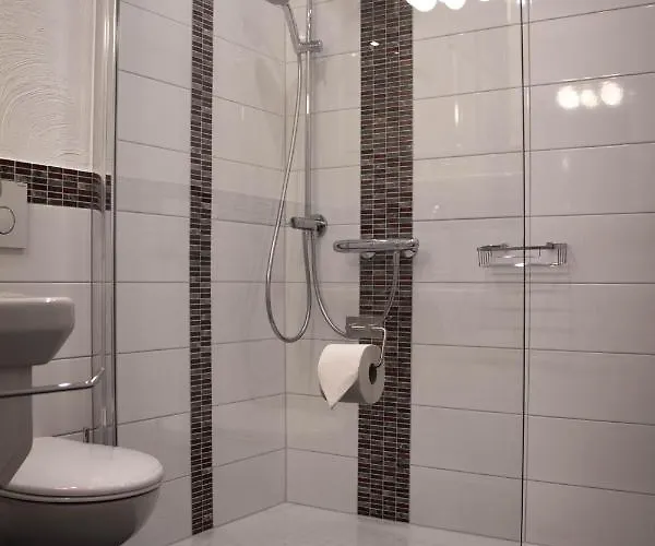 Hotel-restaurant Zur Traube Hotel *