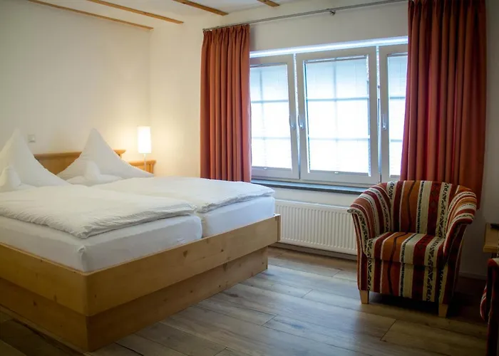 Hotel-restaurant Zur Traube Hotel