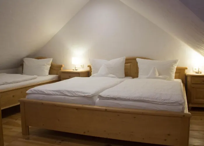 Hotel Hotel-restaurant Zur Traube Altenahr